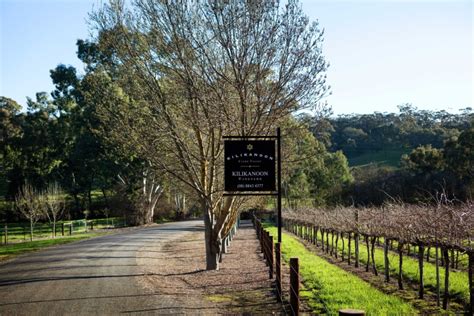 10 Best Wineries in Clare Valley | Man of Many