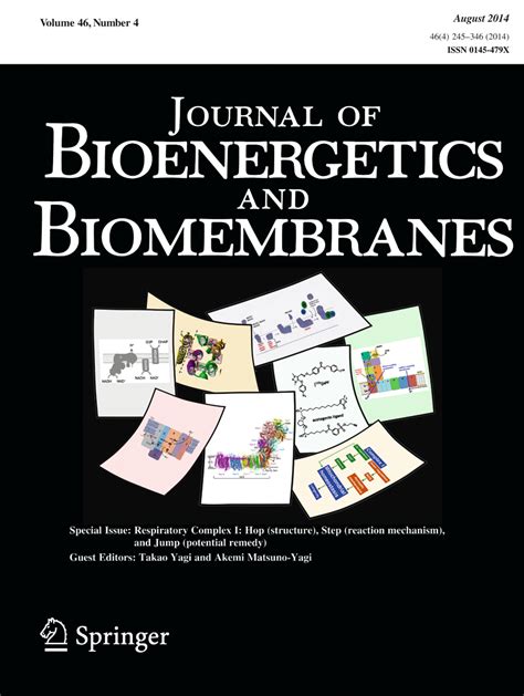 Structure and function of ferrochelatase | Journal of Bioenergetics and Biomembranes