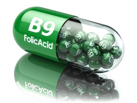 Vitamin B9 – Folic Acid - Performadog Food