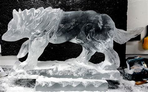 Multiple ice block ice sculpture of a wolf. #icesculptures #animalice ...