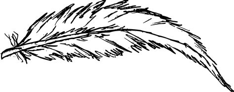 feathers drawing png