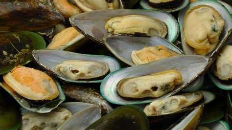 Seafood Mussels Free Stock Photo - Public Domain Pictures