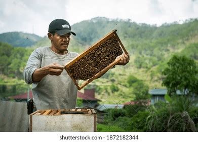 Cordillera Mountain Province Philippines April 22 Stock Photo ...