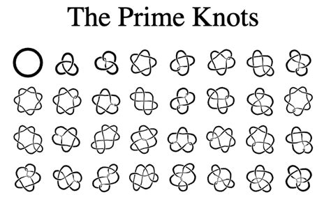 Prime Knots Wall Poster