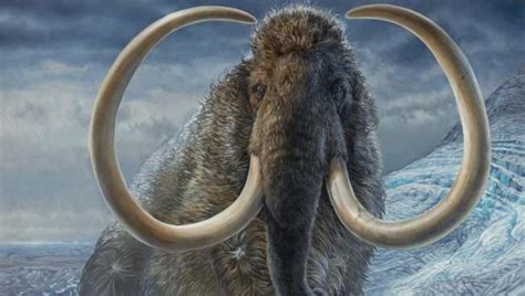 Mamut lanudo: La sorprendente historia de este mamífero (sus rastros, sus colmillos y su ...