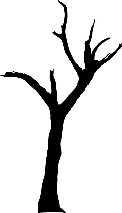 10 Spooky Dead Tree Silhouette (PNG Transparent) Vol. 2 | OnlyGFX.com