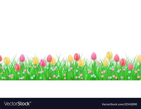 tulip clipart border 10 free Cliparts | Download images on Clipground 2024