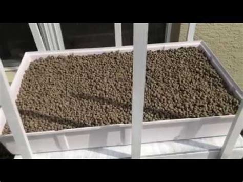 Hydroponic Flood and Drain System - Hydroponic Gardening and My Backyard Garden. - YouTube