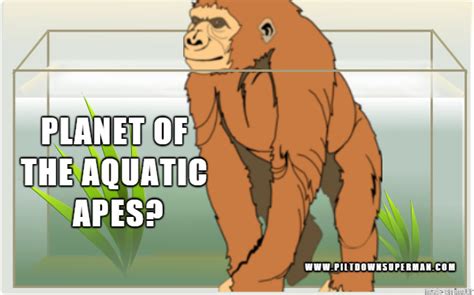 Planet of the Aquatic Apes? | Piltdown Superman