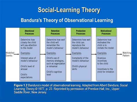 Albert Bandura Social Learning Theory Stages