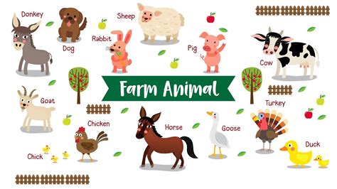 Farm Animal (حيوانات المزرعة) - YouTube