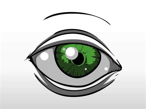 Green Eye Vector Art & Graphics | freevector.com