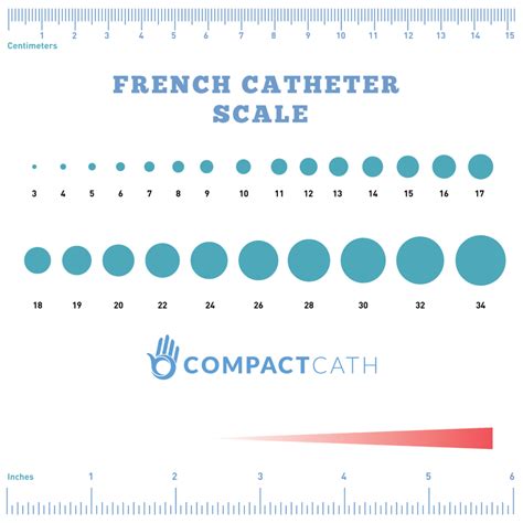 Pin by Meghan Preston on Hesi Nclex | Catheter, Urinary catheterization ...