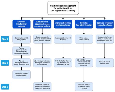 Life | Free Full-Text | Fluid Management, Intra-Abdominal Hypertension and the Abdominal ...