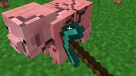 cursed Minecraft images - YouTube