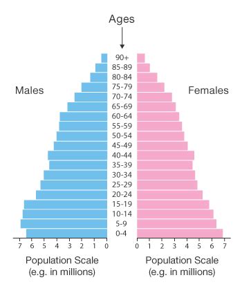 Population Pyramid - Learn about this chart and resources