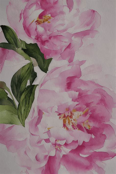 Watercolor Painting of a Pink Peony · Creative Fabrica