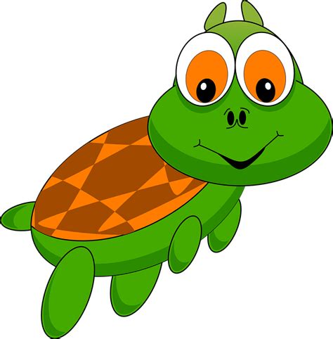 Schildkröte Tier Cartoon · Kostenlose Vektorgrafik auf Pixabay