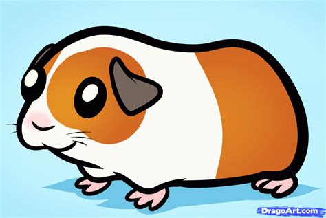 Guinea pigs related clipart - Clipground