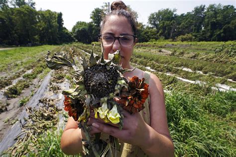 Northeast floods devastate ‘heartbroken’ farmers as months of labor and ...