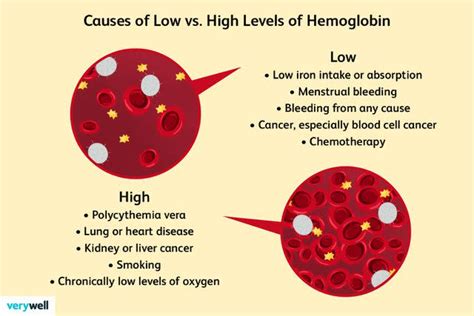 What Causes High or Low Hemoglobin Levels?