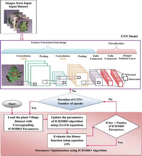 CNN architecture for tomato leaf disease classification | Download ...