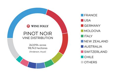 Pinot Noir Wine 101: Tasting Notes, Styles & More | Wine Folly