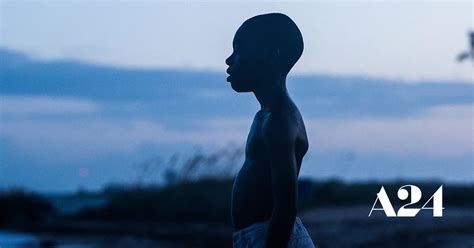 Moonlight | A24