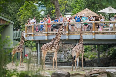 Cleveland Metroparks Zoo Wins ‘Best Animal Encounter' in 2022 Parent Choice Awards