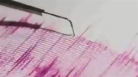 New Zealand Earthquake: ನ್ಯೂಜಿಲ್ಯಾಂಡ್‌ನಲ್ಲಿ ಭೂಕಂಪ, 6.1 ತೀವ್ರತೆಯ ಭೂಕಂಪಕ್ಕೆ ನಡುಗಿದ ವೆಲ್ಲಿಂಗ್ಟನ್ ...