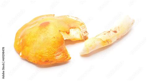 amanita caesarea Stock Photo | Adobe Stock