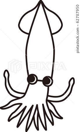 Squid line drawing - Stock Illustration [62787950] - PIXTA