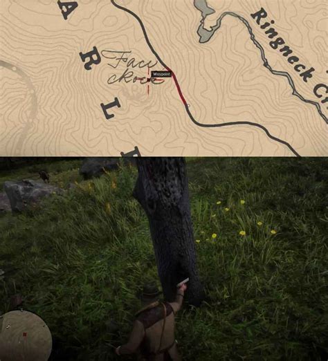 Red Dead Redemption 2: Where To Find All Poisonous Trail Treasure Map