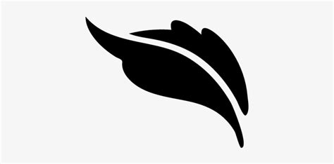 Plant Leaf Shape Vector - Free Leaf Shapes Png - Free Transparent PNG Download - PNGkey