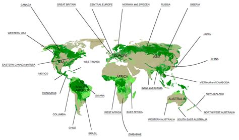 WORLD MAP - DISTRIBUTION OF NATURAL WOODS | Amazing maps, Natural wood, Map