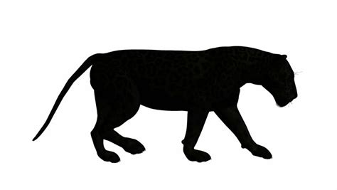 Cat Walking Silhouette at GetDrawings | Free download