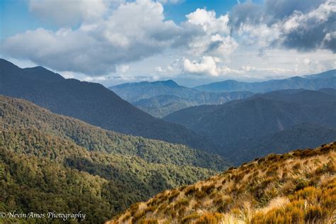 Paparoa Great Walk – New Zealand Landscapes