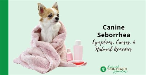 Canine Seborrhea - Causes, Symptoms, & Natural Home Remedies