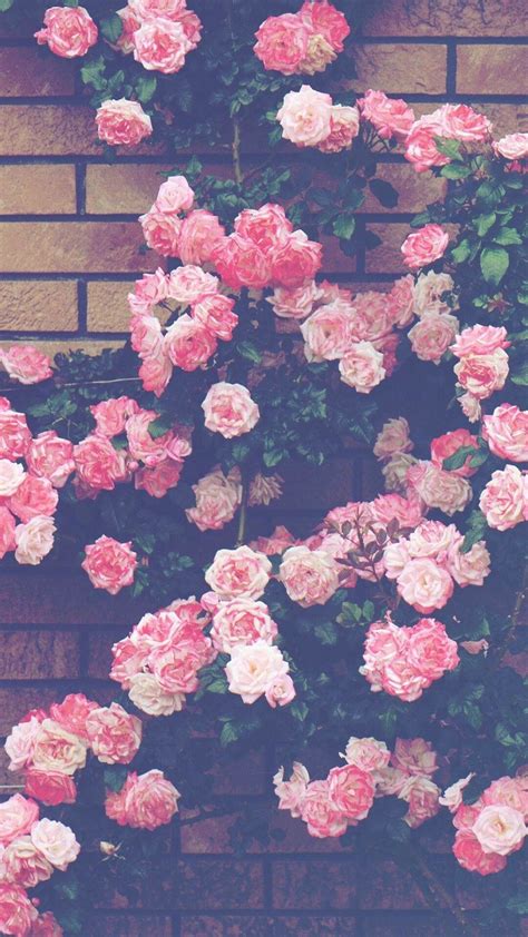 Pastel Vintage Blue Aesthetic Wallpaper Flowers