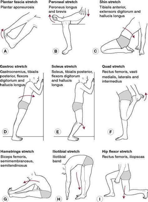 Muscle Strengthening: Peroneal Muscle Strengthening Exercises