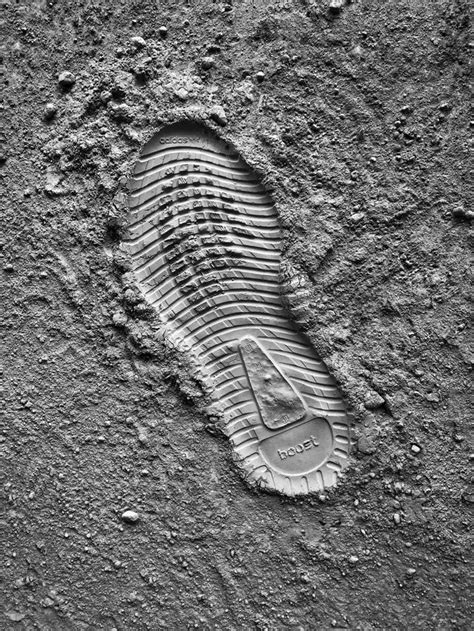 What is a carbon footprint analysis and why do you need one?