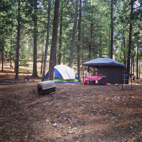 Mount Lemmon Camping: A much needed escape