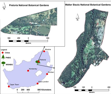 1: Geographical location of Walter Sisulu botanical garden and Pretoria... | Download Scientific ...