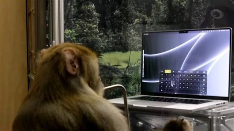 Elon Musk Shows Latest Neuralink Demo of Monkey Typing with its Mind ...