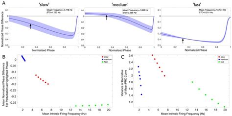 Theta rhythm frequency is influenced by inhibitory drive as quantified... | Download Scientific ...