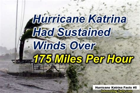 Hurricane Katrina Facts - 10 Facts about Hurricane KatrinaHurricane Katrina Facts - Interesting ...