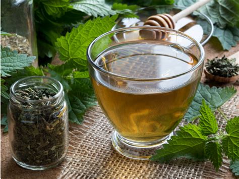 9 Health Benefits of Nettle Tea, How to Make it, & Its Side Effects | Organic Facts