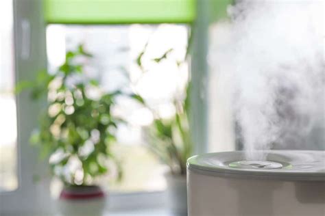 5 Best Steam Humidifiers Reviewed in Detail (Winter 2024)