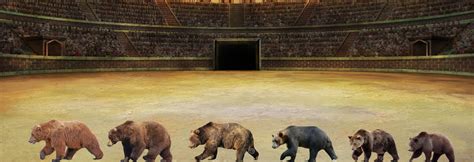 Eurasian Brown Bear Vs Grizzly