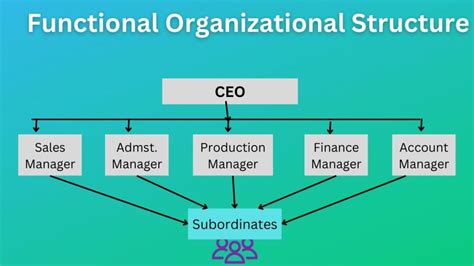 What is Functional Organizational Structure? Definition, & Pros/Cons